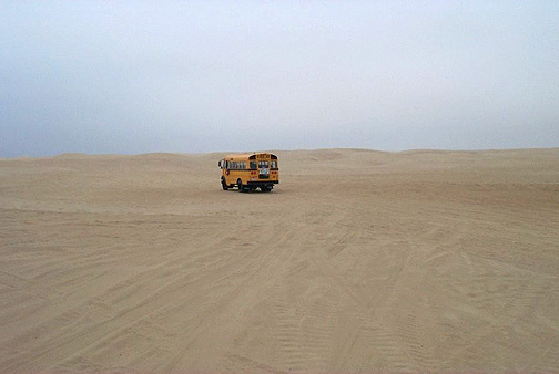 Through the dunes