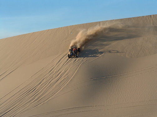 Pat on dune